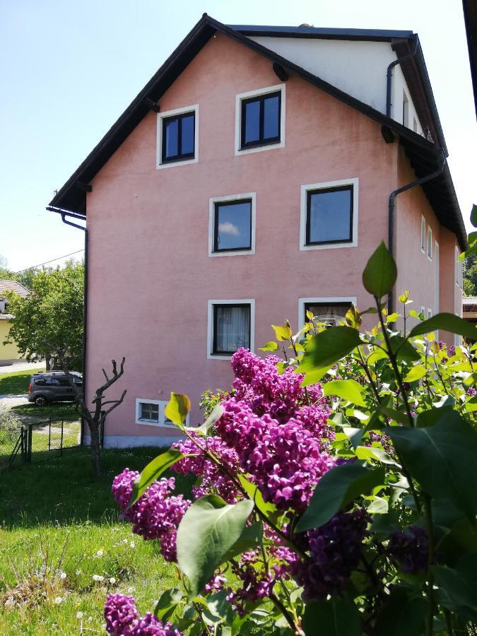 Feriendomizil Wachau Διαμέρισμα Habruck Εξωτερικό φωτογραφία
