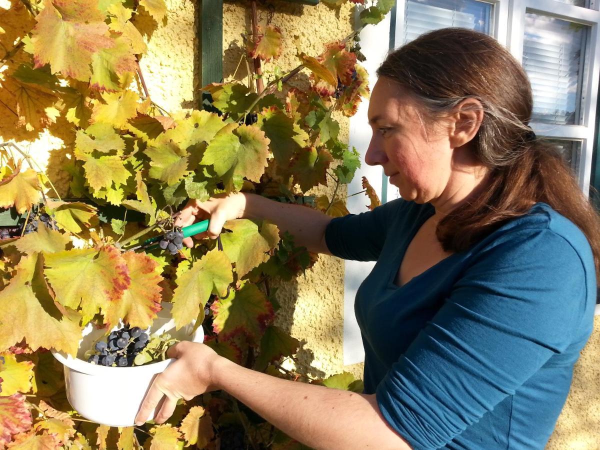Feriendomizil Wachau Διαμέρισμα Habruck Εξωτερικό φωτογραφία