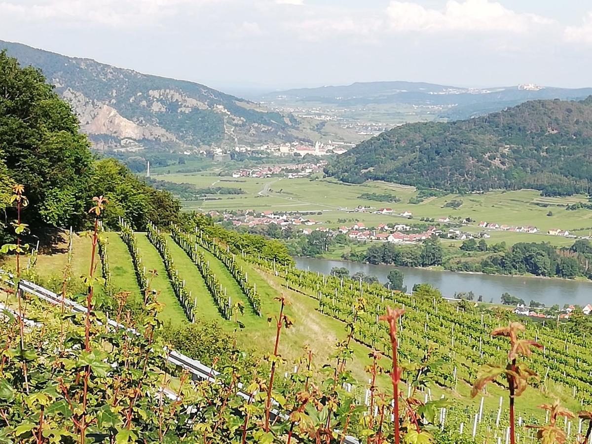 Feriendomizil Wachau Διαμέρισμα Habruck Εξωτερικό φωτογραφία